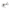 Wit